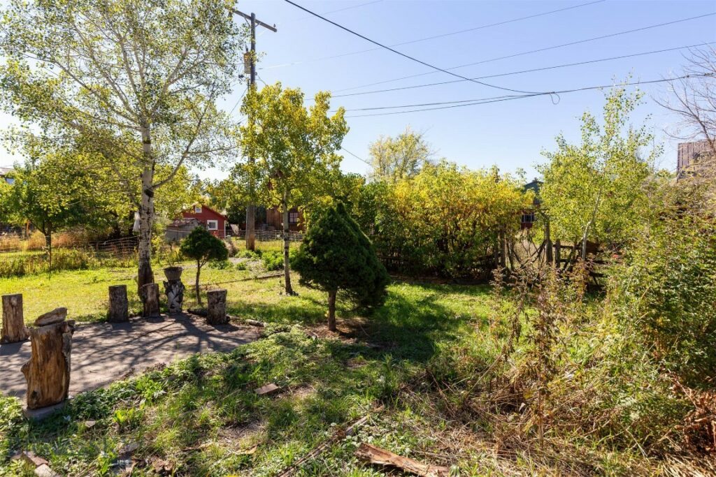 513 N Plum Street, Bozeman MT 59715