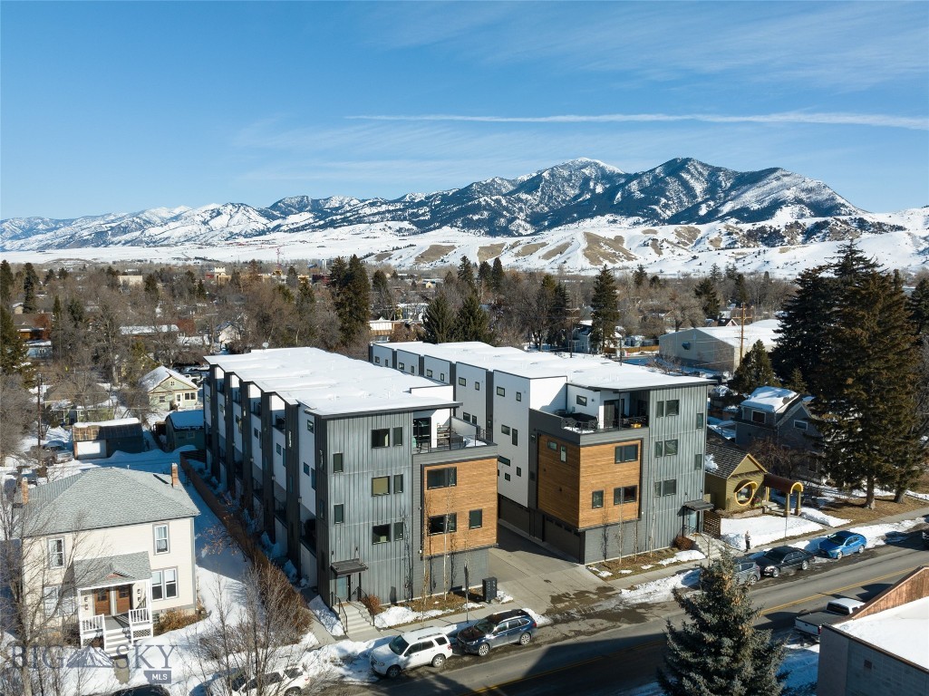 527 E Mendenhall Street, Bozeman MT 59715