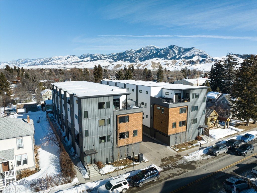 527 E Mendenhall Street, Bozeman MT 59715