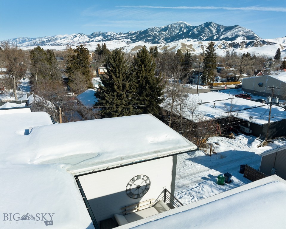 527 E Mendenhall Street, Bozeman MT 59715