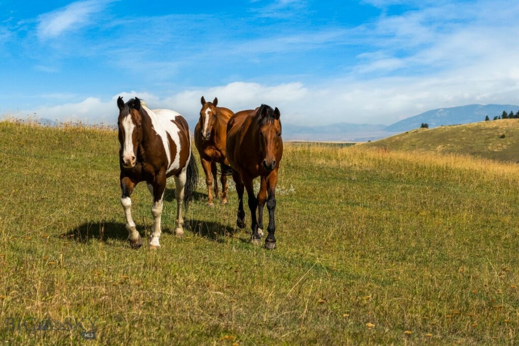 545 Yonder Road, Bozeman MT 59715