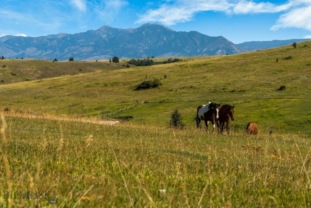 545 Yonder Road, Bozeman MT 59715