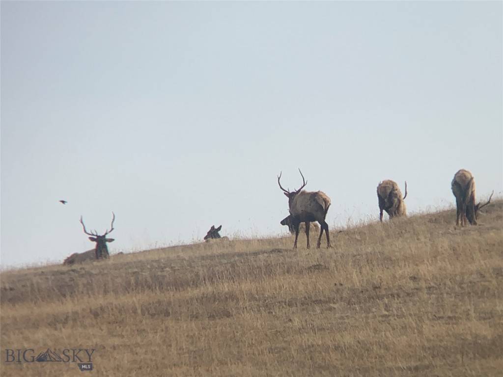 545 Yonder Road, Bozeman MT 59715