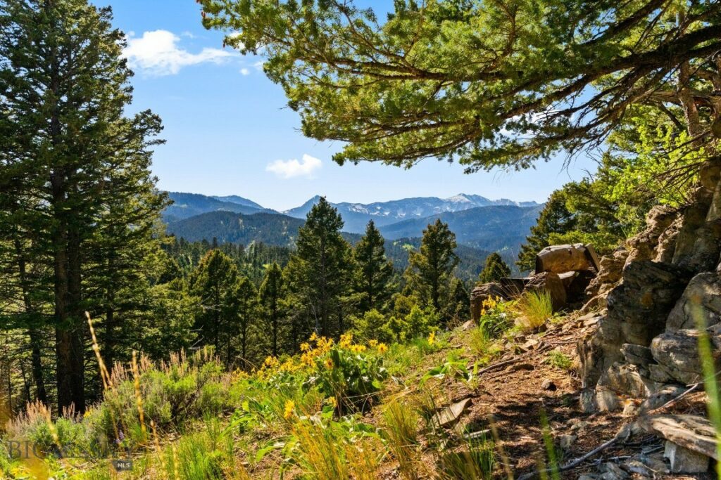 590 Middle Skunk Creek, Bozeman MT 59715