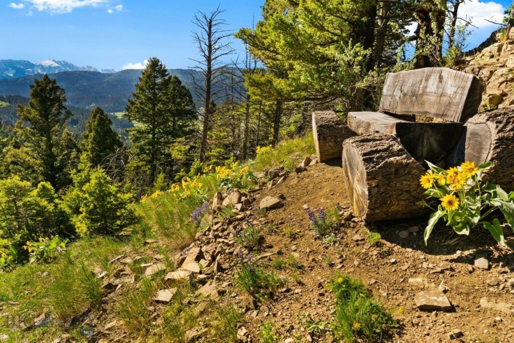 590 Middle Skunk Creek, Bozeman MT 59715