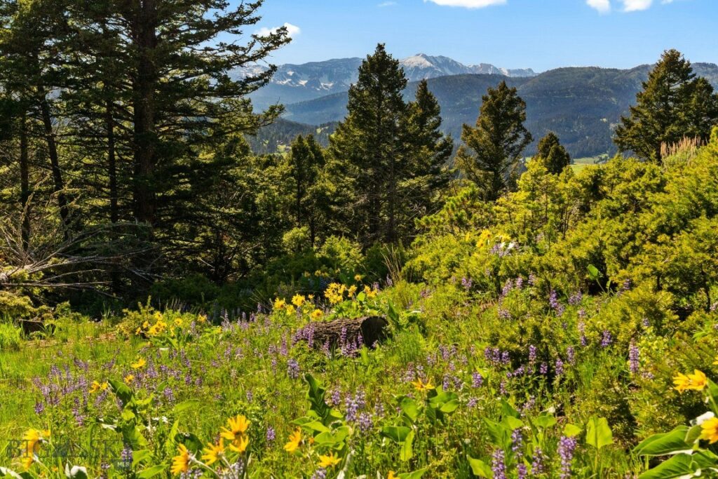 590 Middle Skunk Creek, Bozeman MT 59715
