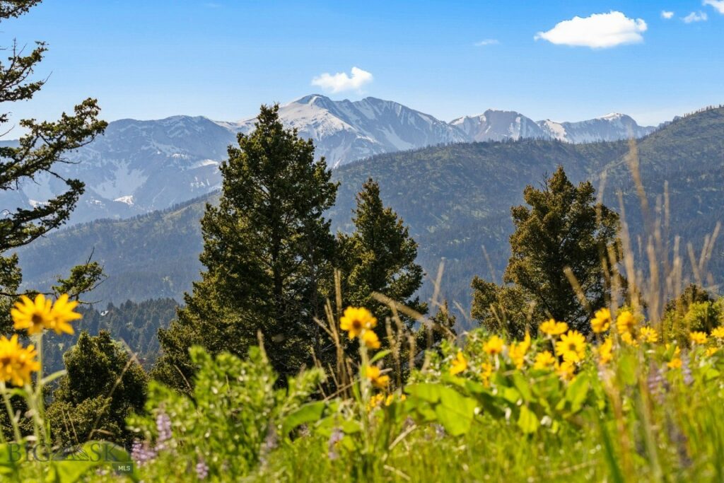 590 Middle Skunk Creek, Bozeman MT 59715