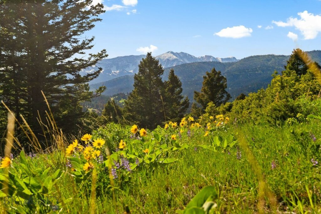 590 Middle Skunk Creek, Bozeman MT 59715