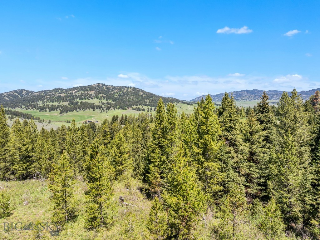 601 Forest Hills Road, Bozeman MT 59715