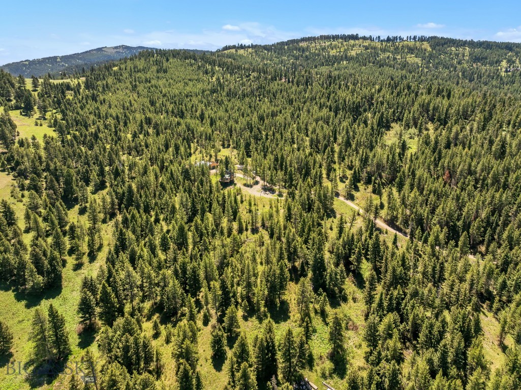 601 Forest Hills Road, Bozeman MT 59715