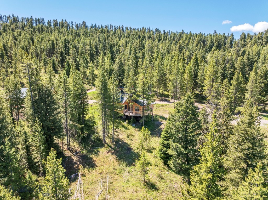 601 Forest Hills Road, Bozeman MT 59715