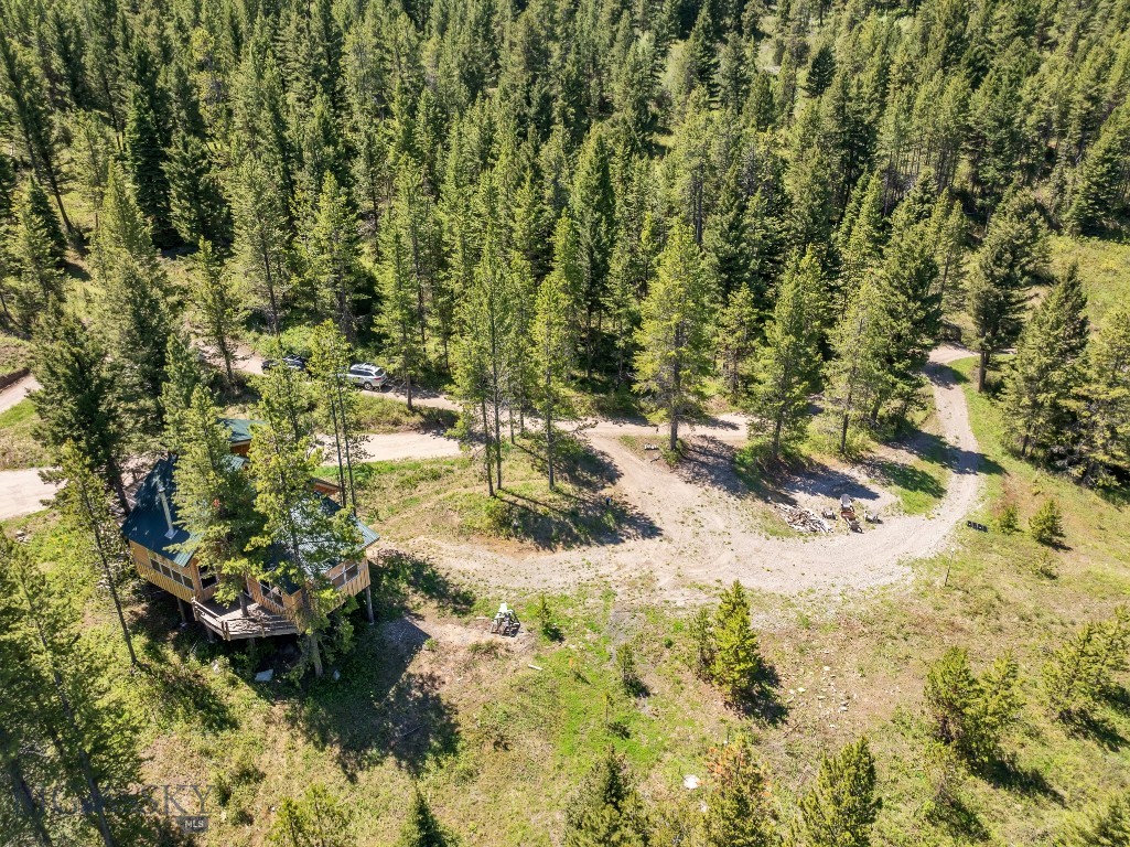 601 Forest Hills Road, Bozeman MT 59715