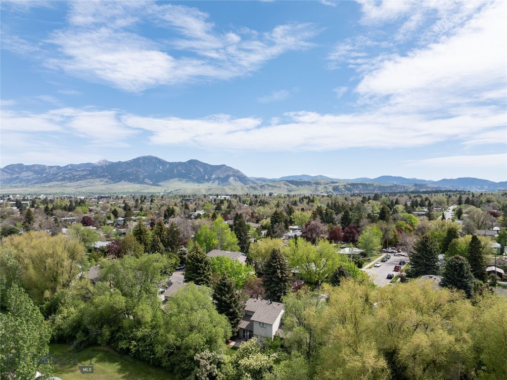 617 S 15th Avenue, Bozeman MT 59715