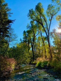6555 Tepee Ridge Road W, Bozeman MT 59715