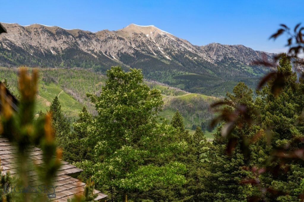 6565 Tepee Ridge Road E, Bozeman MT 59715