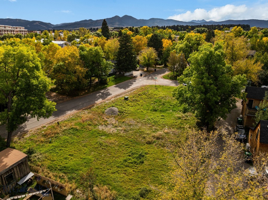 709 E Fridley Street, Bozeman MT 59715