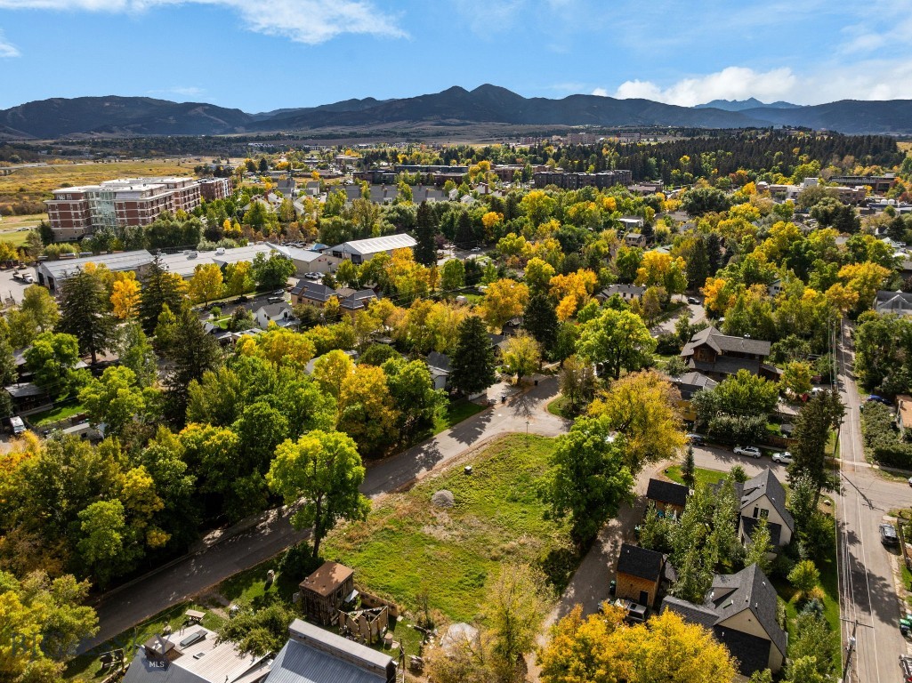 709 E Fridley Street, Bozeman MT 59715