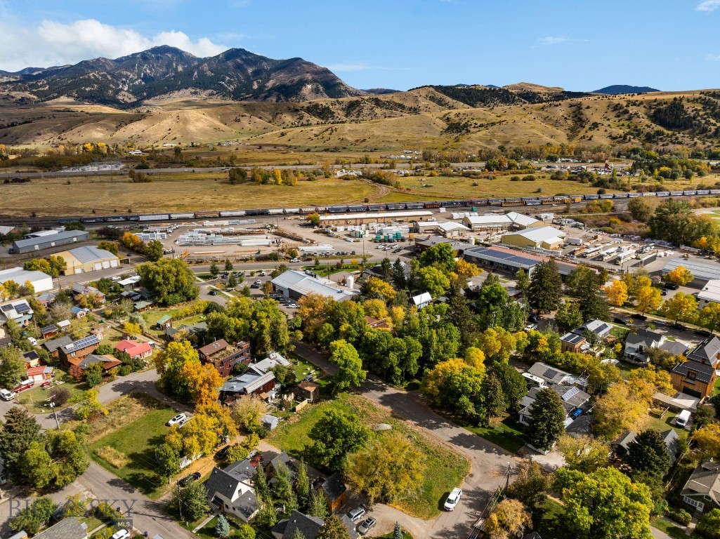 709 E Fridley Street, Bozeman MT 59715