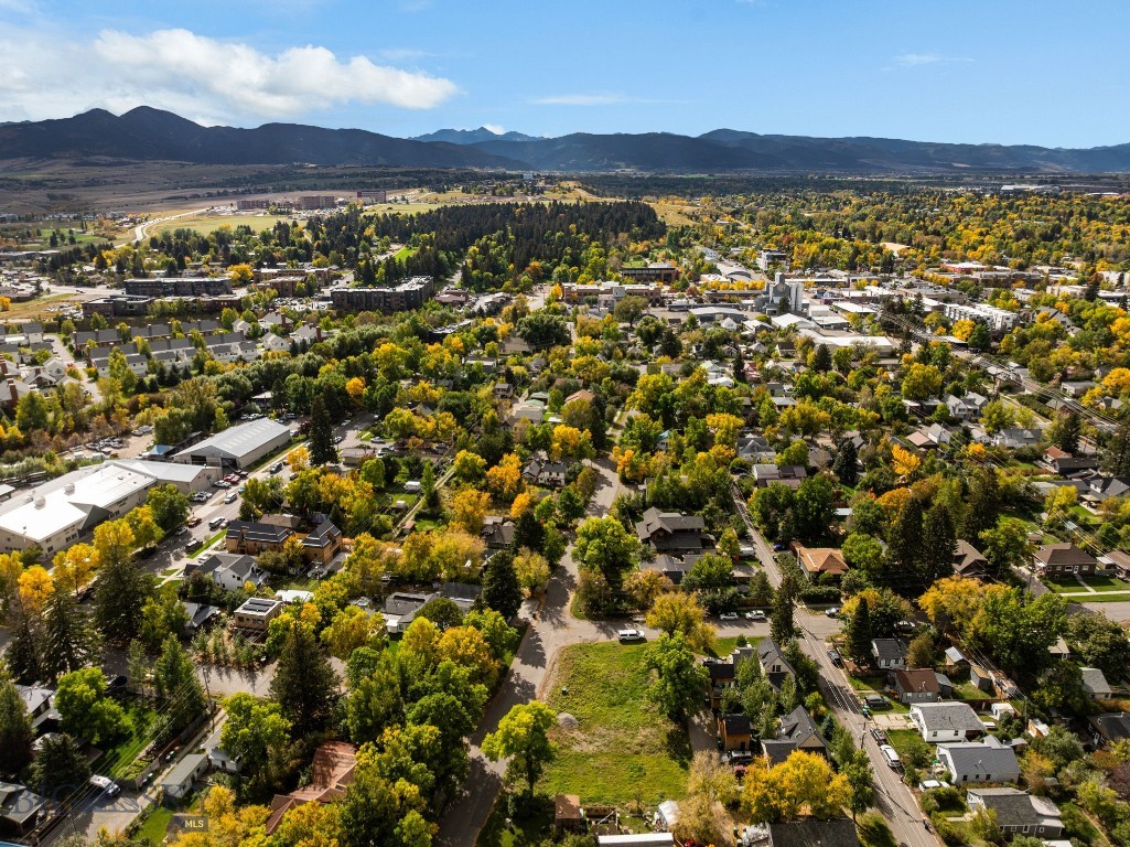 709 E Fridley Street, Bozeman MT 59715