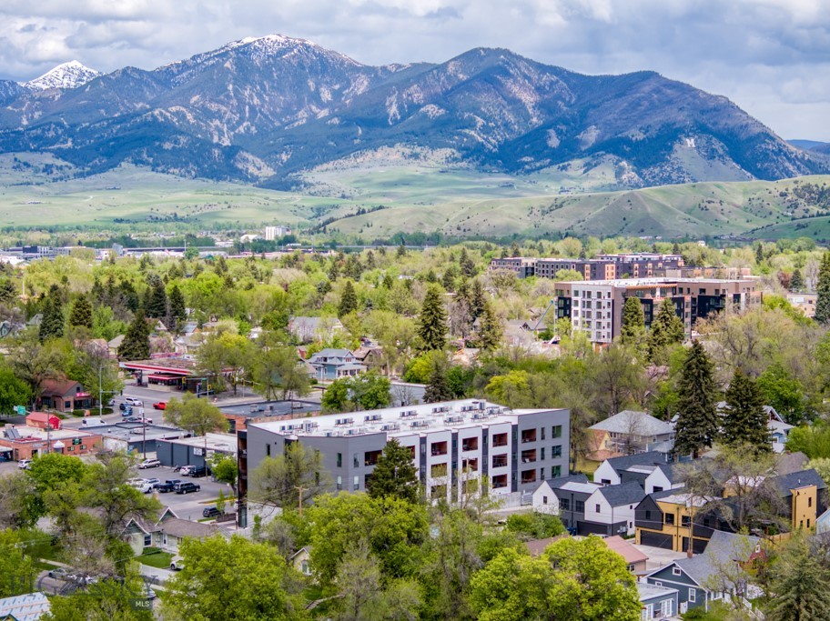 718 W Babcock Street, Bozeman MT 59715