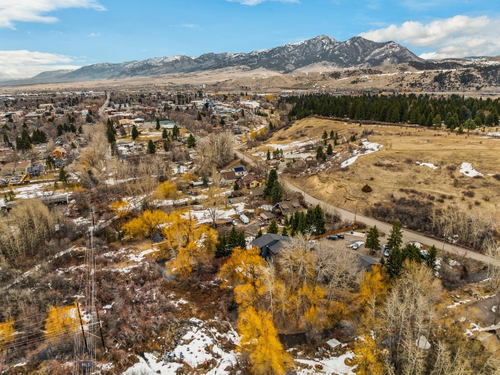 719 S Church Unit 8, Bozeman MT 59715