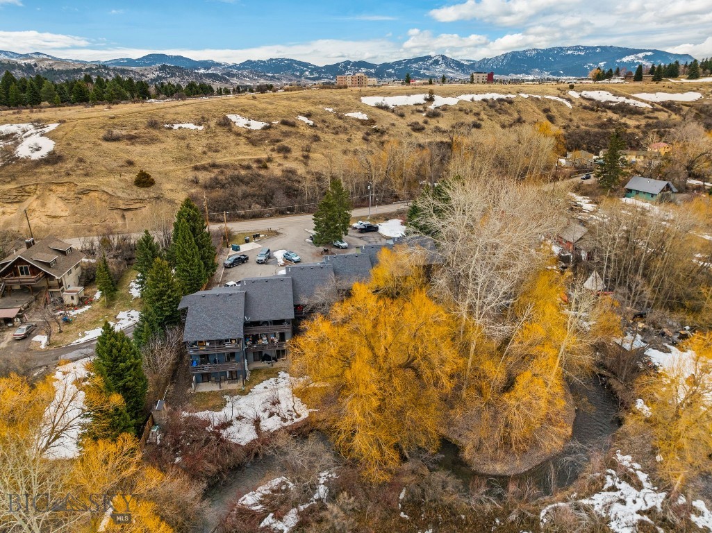 719 S Church Unit 8, Bozeman MT 59715