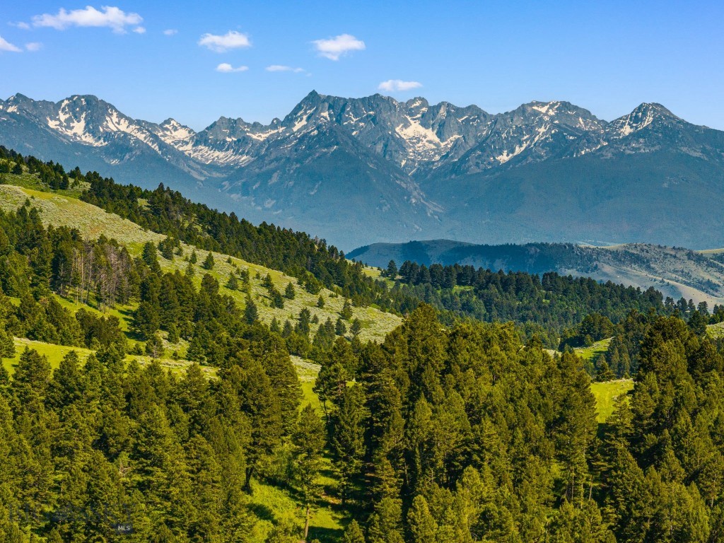 755 Coffee Creek Road, Bozeman MT 59715