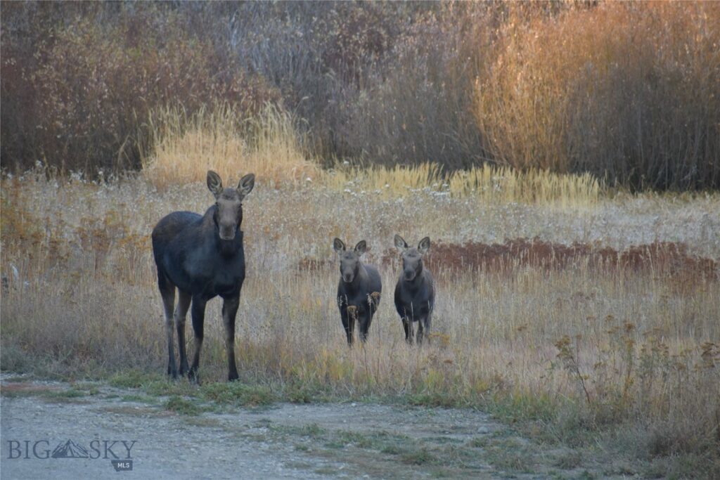 770 Mountain Moose Road, Bozeman MT 59715