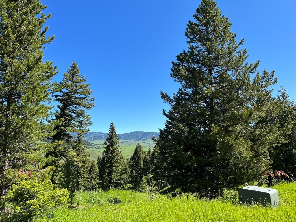 770 Mountain Moose Road, Bozeman MT 59715