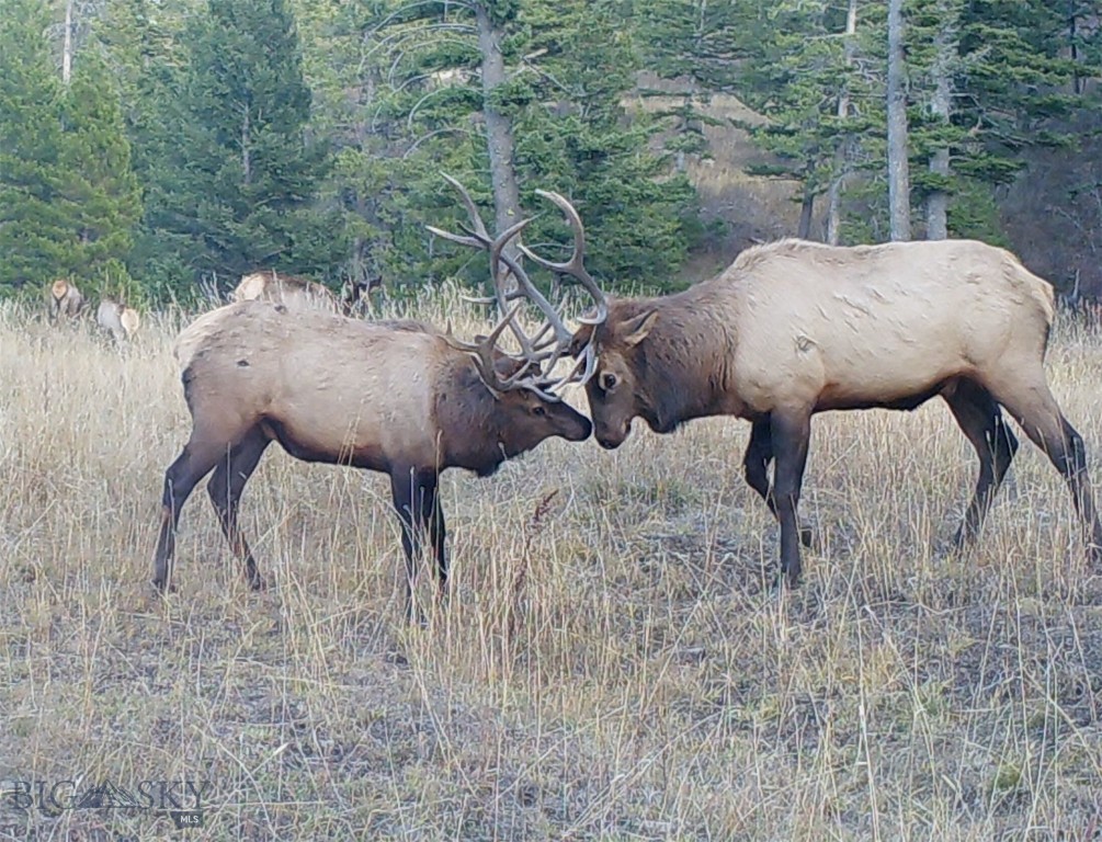 770 Mountain Moose Road, Bozeman MT 59715