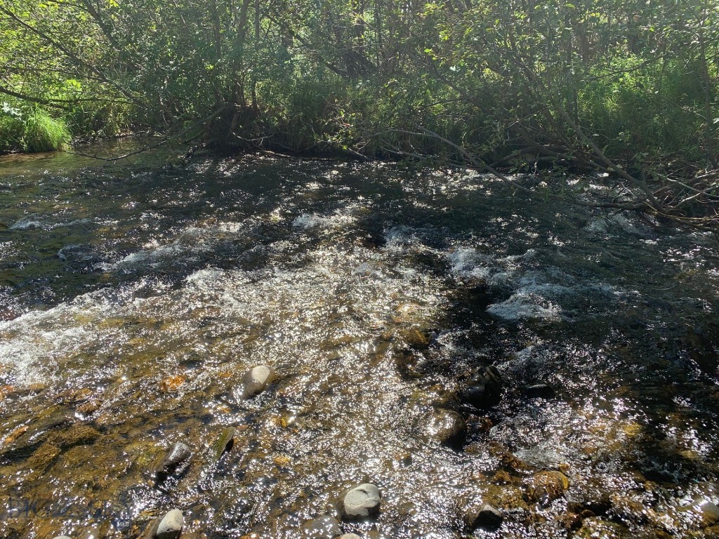 779 Cayuse Trail, Bozeman MT 59715