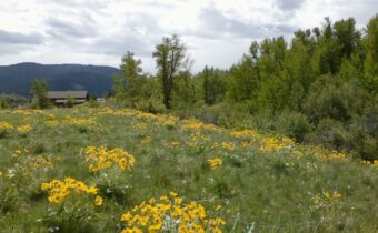 779 Cayuse Trail, Bozeman MT 59715