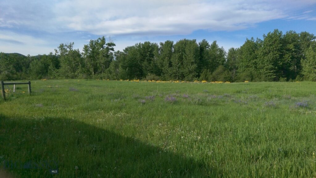 779 Cayuse Trail, Bozeman MT 59715