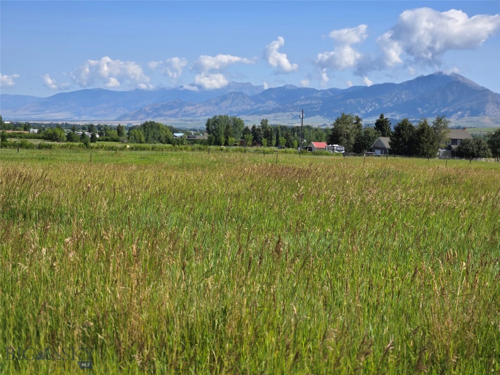 8050 S Leverich Road, Bozeman MT 59715