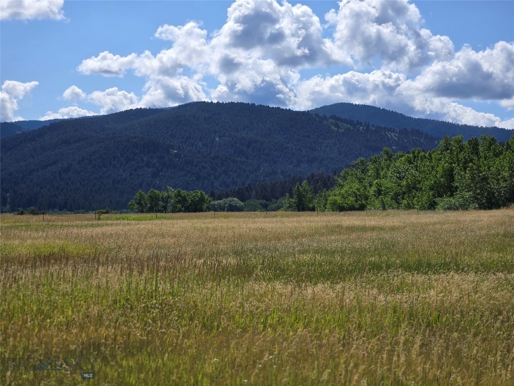 8050 S Leverich Road, Bozeman MT 59715