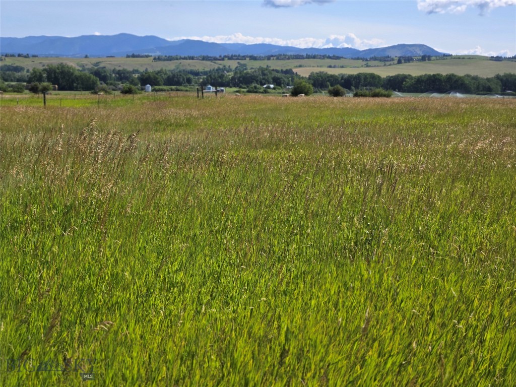 8050 S Leverich Road, Bozeman MT 59715