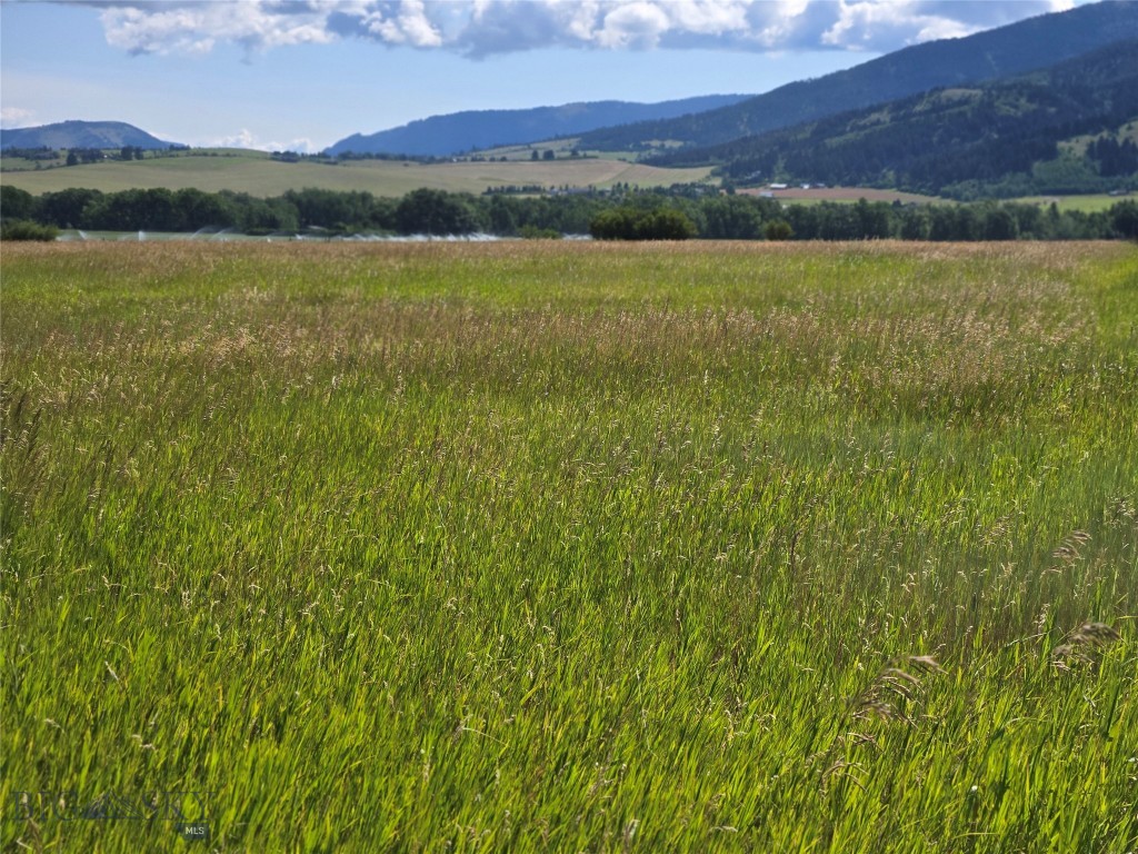 8050 S Leverich Road, Bozeman MT 59715