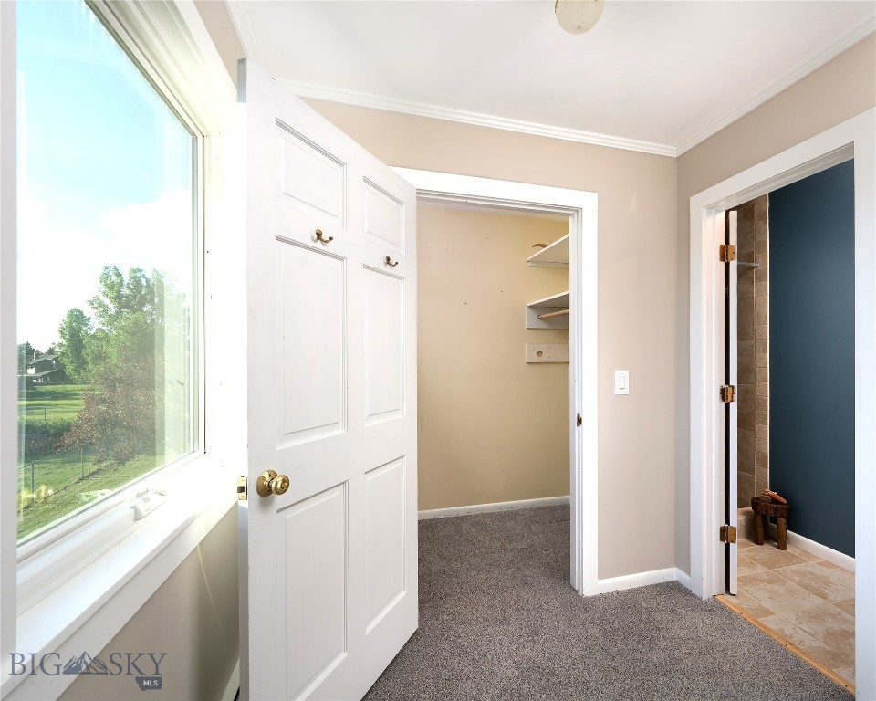 8373 Goldenstein Lane, Bozeman MT 59715