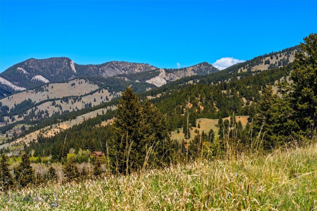 8663 E Panorama, Bozeman MT 59715