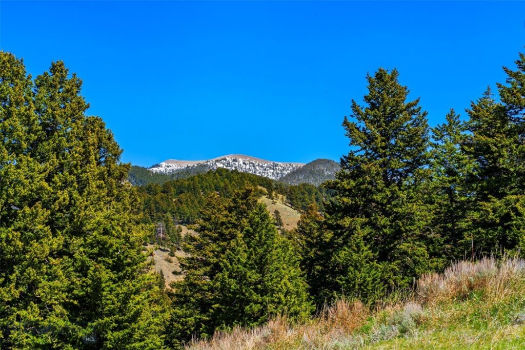 8663 E Panorama, Bozeman MT 59715