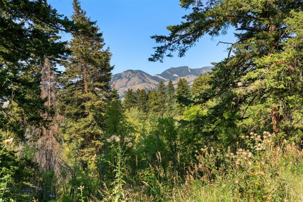 8663 E Panorama, Bozeman MT 59715