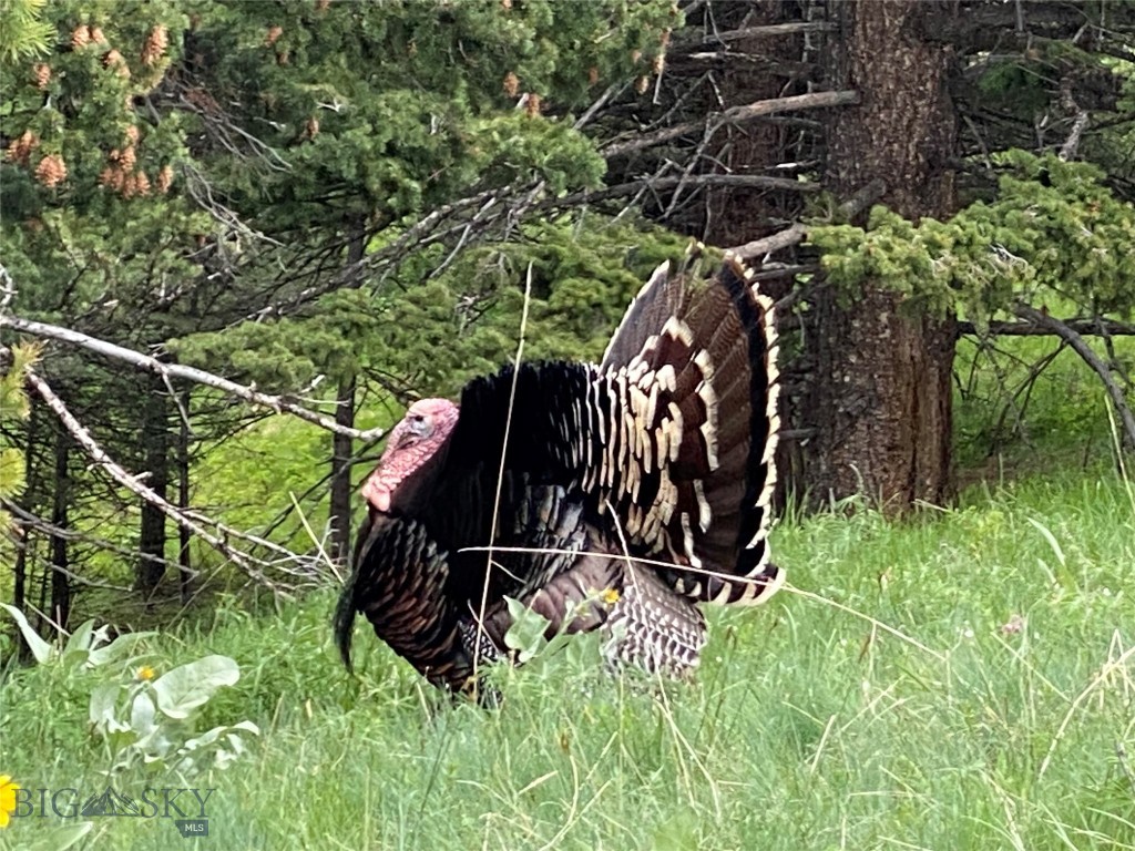 8663 E Panorama, Bozeman MT 59715