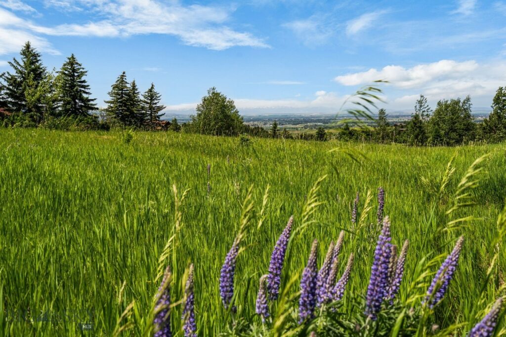 8965 Sandy Creek Lane, Bozeman MT 59715