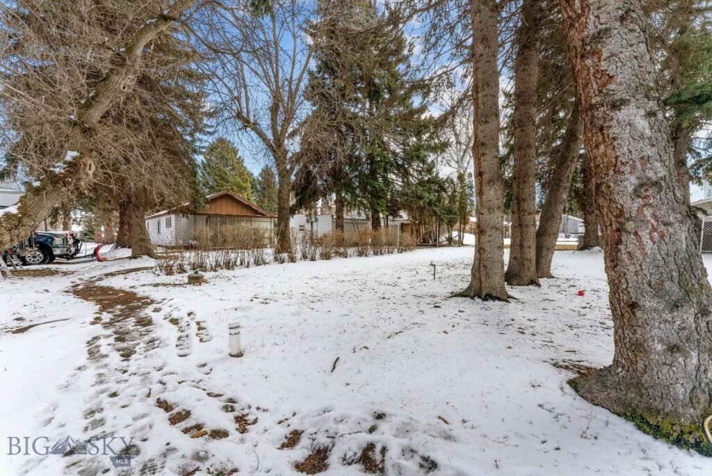 907 N 17th Avenue, Bozeman MT 59715