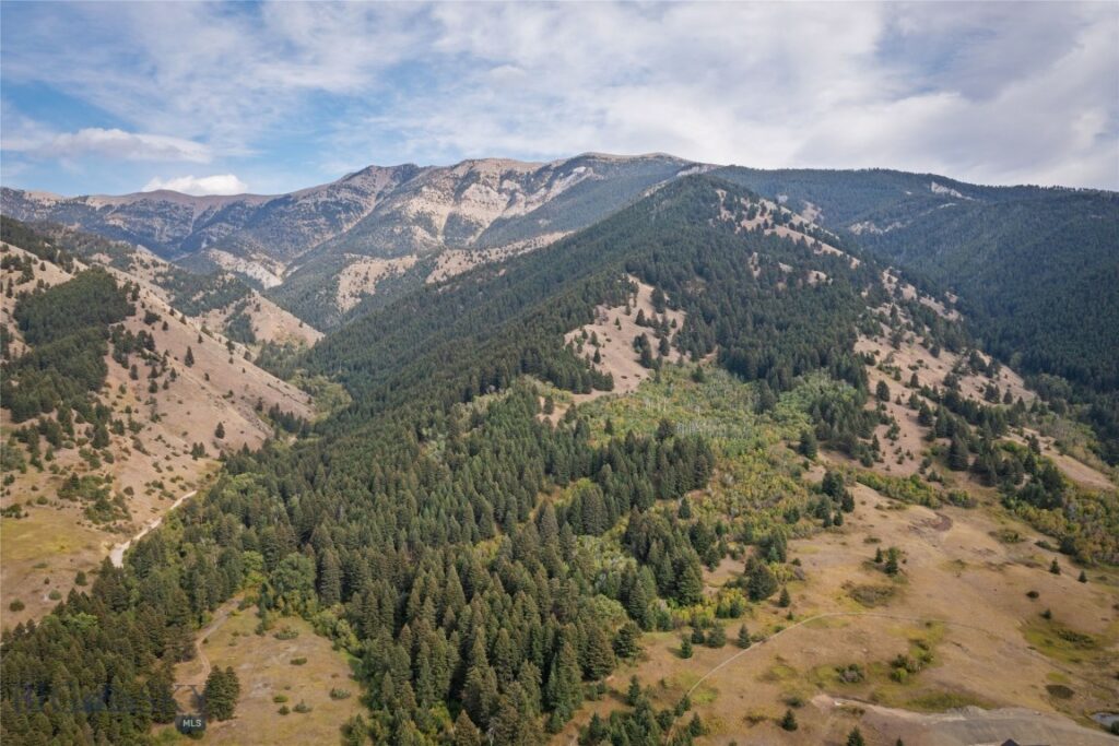 9440 Saddle Mountain Road, Bozeman MT 59715