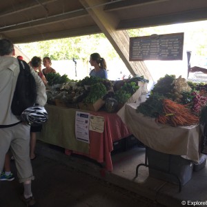 bogert-farmers-market-0520