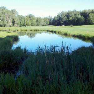 bridger-creek-golf-course-06