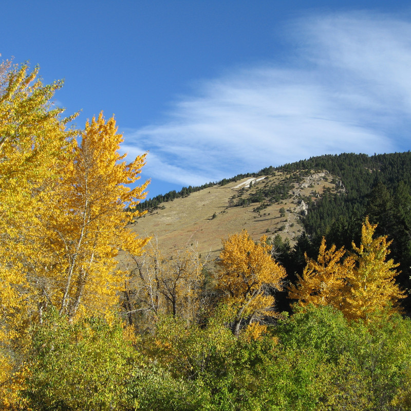 Bozeman College M Trail – Explore Bozeman