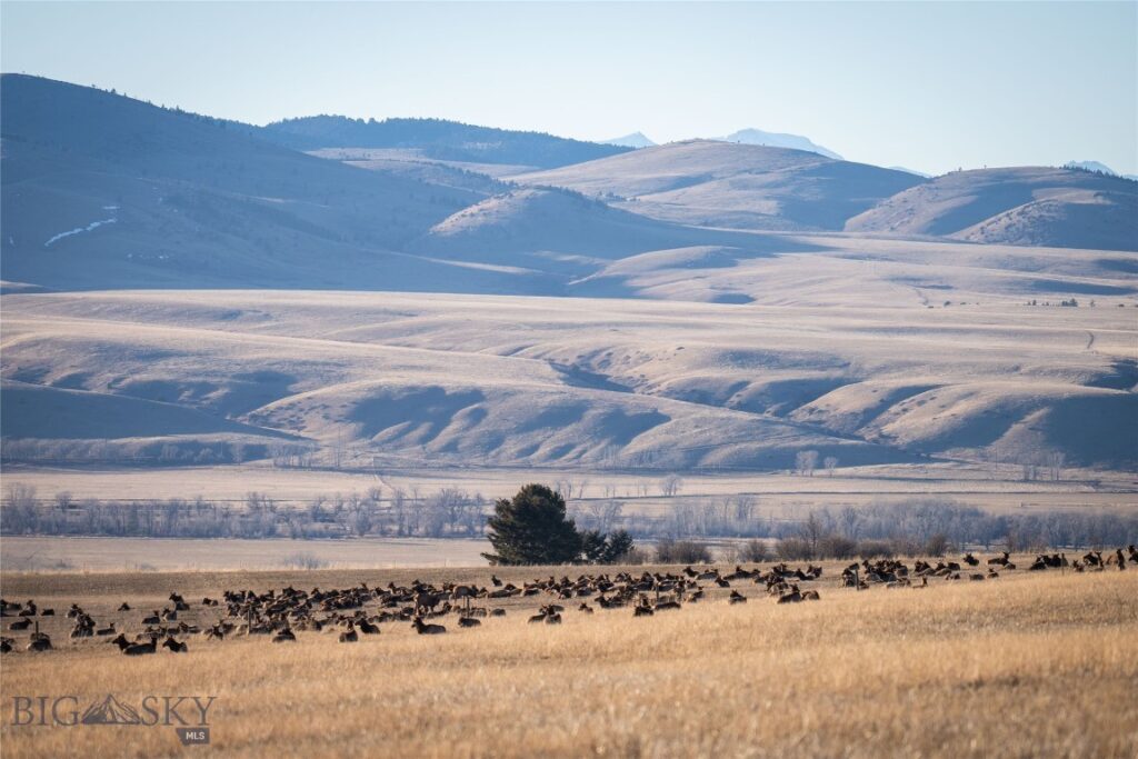 TBD S Whistleberry Road, Bozeman MT 59718