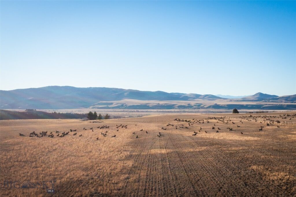 TBD S Whistleberry Road, Bozeman MT 59718